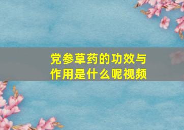 党参草药的功效与作用是什么呢视频