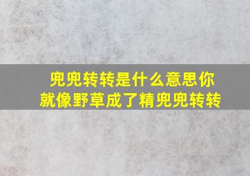 兜兜转转是什么意思你就像野草成了精兜兜转转