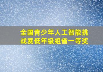 全国青少年人工智能挑战赛低年级组省一等奖