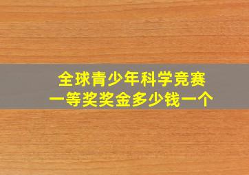 全球青少年科学竞赛一等奖奖金多少钱一个