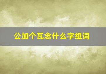 公加个瓦念什么字组词