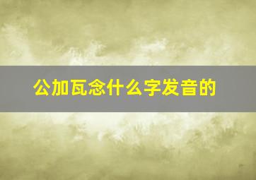 公加瓦念什么字发音的