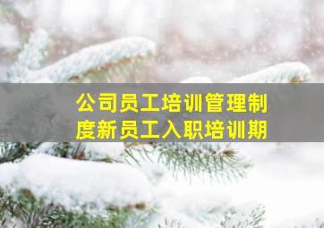 公司员工培训管理制度新员工入职培训期