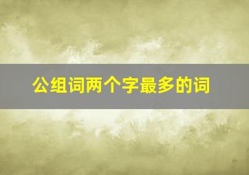 公组词两个字最多的词