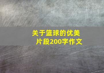 关于篮球的优美片段200字作文