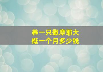 养一只撒摩耶大概一个月多少钱