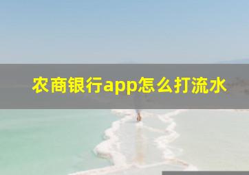 农商银行app怎么打流水