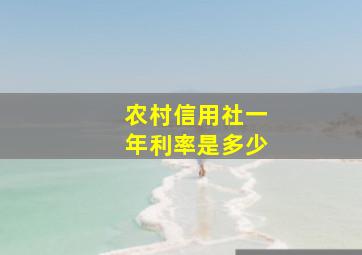 农村信用社一年利率是多少