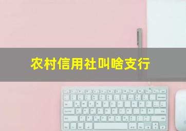 农村信用社叫啥支行