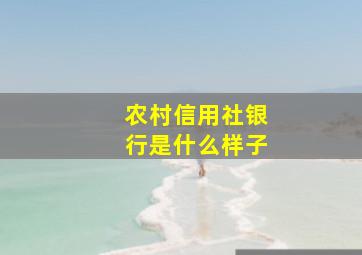 农村信用社银行是什么样子