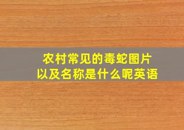 农村常见的毒蛇图片以及名称是什么呢英语