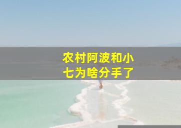 农村阿波和小七为啥分手了