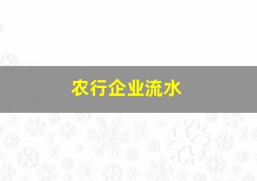 农行企业流水