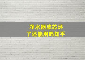 净水器滤芯坏了还能用吗知乎