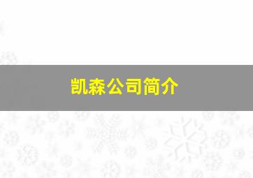 凯森公司简介