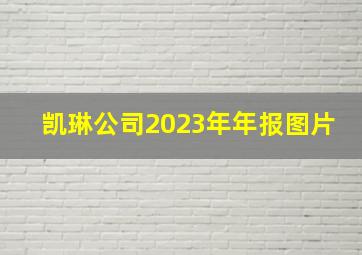 凯琳公司2023年年报图片