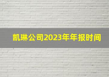 凯琳公司2023年年报时间