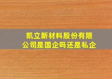 凯立新材料股份有限公司是国企吗还是私企