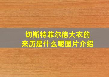 切斯特菲尔德大衣的来历是什么呢图片介绍