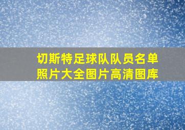 切斯特足球队队员名单照片大全图片高清图库