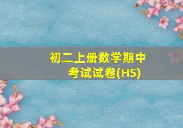 初二上册数学期中考试试卷(HS)