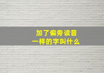 加了偏旁读音一样的字叫什么