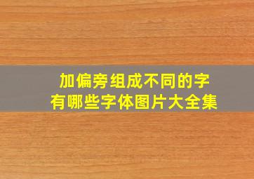 加偏旁组成不同的字有哪些字体图片大全集