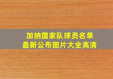 加纳国家队球员名单最新公布图片大全高清