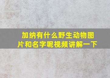 加纳有什么野生动物图片和名字呢视频讲解一下