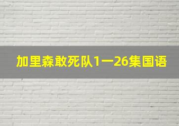 加里森敢死队1一26集国语