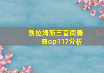 勃拉姆斯三首间奏曲op117分析