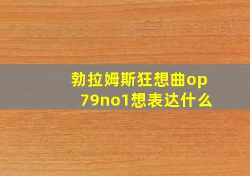 勃拉姆斯狂想曲op79no1想表达什么