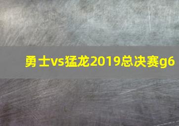 勇士vs猛龙2019总决赛g6