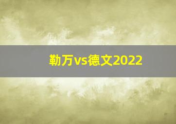 勒万vs德文2022