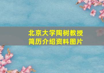 北京大学陶树教授简历介绍资料图片