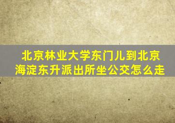 北京林业大学东门儿到北京海淀东升派出所坐公交怎么走