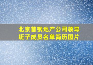 北京首钢地产公司领导班子成员名单简历图片