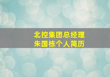 北控集团总经理朱国栋个人简历