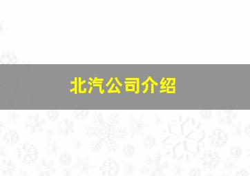 北汽公司介绍