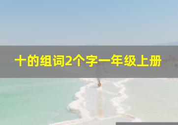 十的组词2个字一年级上册