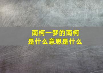 南柯一梦的南柯是什么意思是什么