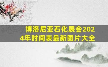 博洛尼亚石化展会2024年时间表最新图片大全