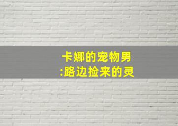 卡娜的宠物男:路边捡来的灵