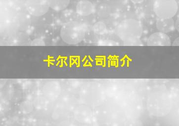 卡尔冈公司简介