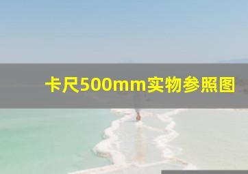 卡尺500mm实物参照图