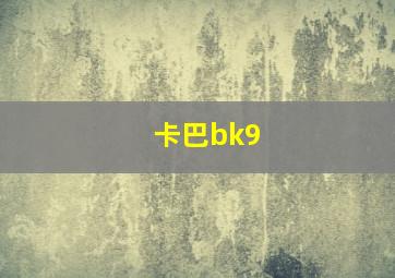 卡巴bk9