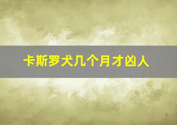 卡斯罗犬几个月才凶人