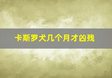 卡斯罗犬几个月才凶残