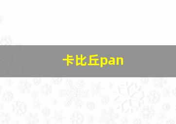 卡比丘pan