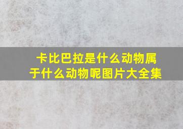 卡比巴拉是什么动物属于什么动物呢图片大全集